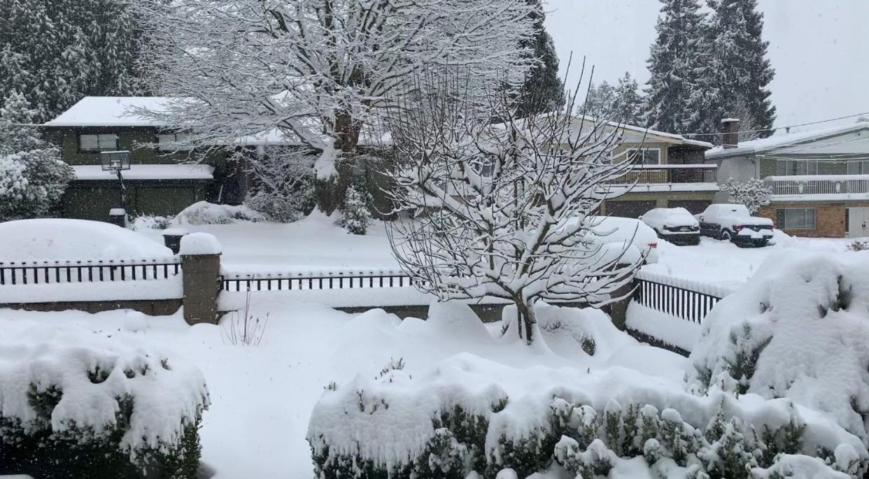 Spacious Burnaby Guest Home 外观 照片